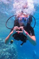 кликни чтобы увеличить: